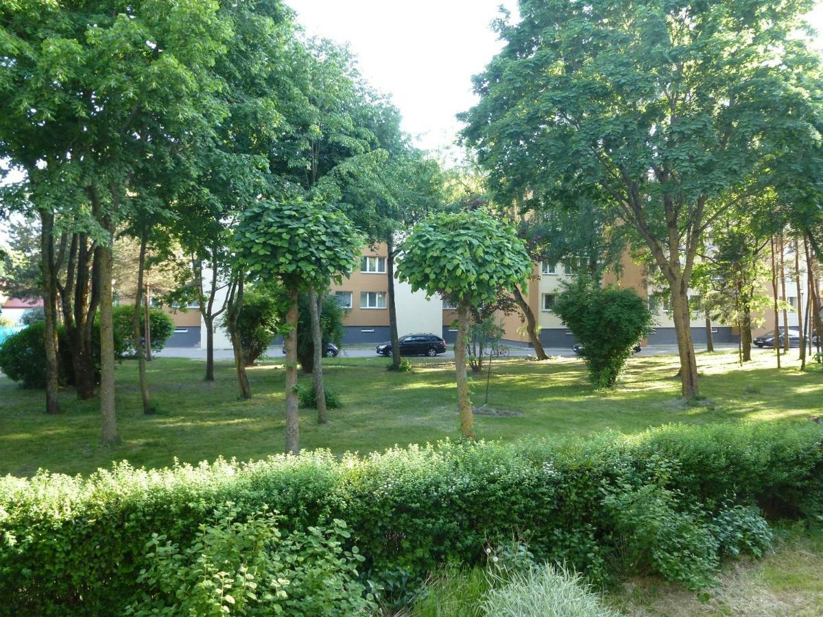 Studio Apartment Balta Palanga Esterno foto